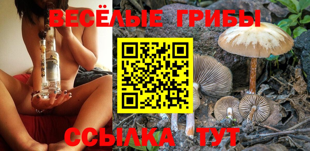 Галлюциногенные грибы мицелий Зима